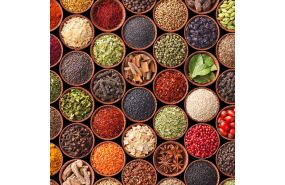 Актуальний режим роботи магазину станом на літо 2023 р.