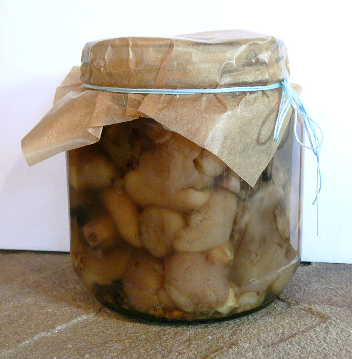 Маринованные маслята на зиму – 10 рецептов приготовления с пошаговыми фото