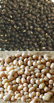 Urad Dal